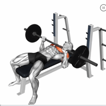 Barbell Bench Press