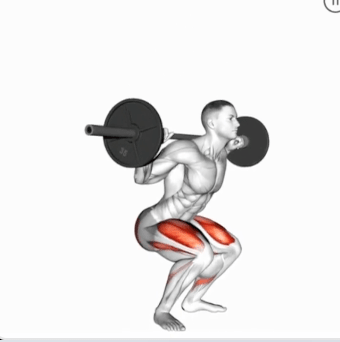 Barbell Full Squat