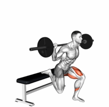 Barbell Single Leg Split Squat