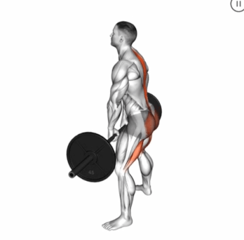 Barbell Sumo Romanian Deadlift