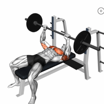 Bench Press