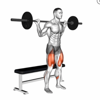 Bench Squat