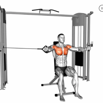Cable Seated Chest Fly