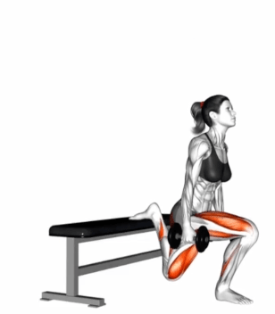 Dumbbell Bulgarian Split Squat