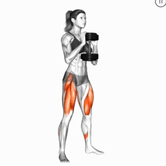 Dumbbell Goblet Squat