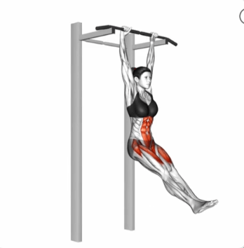Hanging Straight Leg Raise