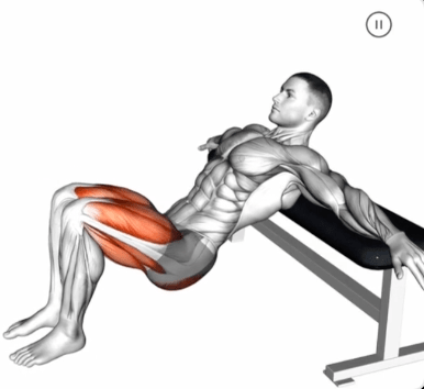 Hip Thrust