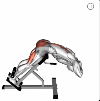 Hyperextension