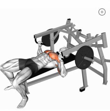 Lever Lying Chest Press