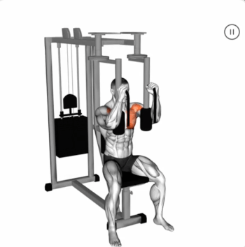 Lever Pec Deck Fly