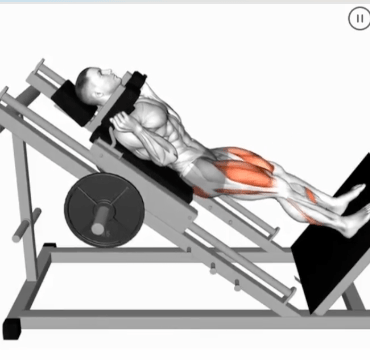 Sled Hack Squat