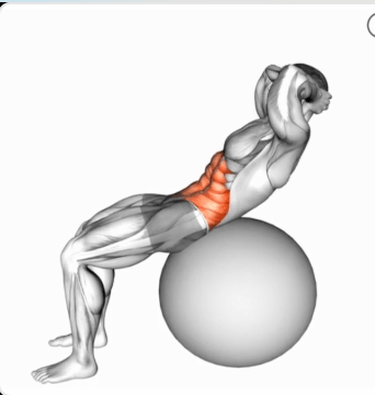 Stability Ball Crunch