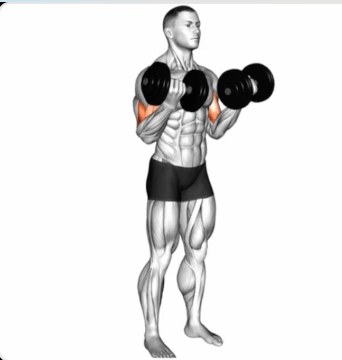 Standing Biceps Curl