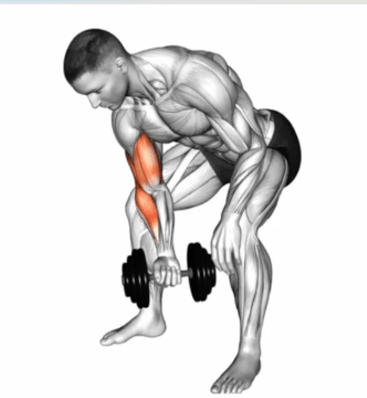 Standing One Arm Concentration Curl