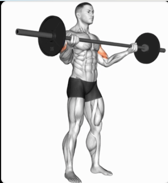 Standing Wide Grip Biceps Curl