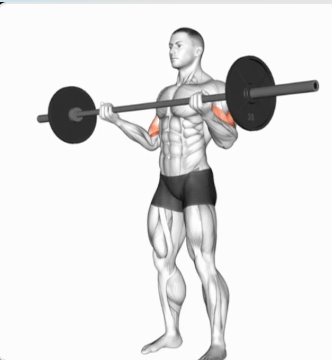 Standing Wide Grip Curl