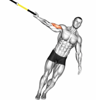 Suspender One Arm Biceps Curl
